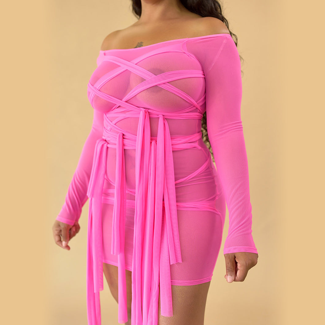 HERR Kandy Pink Sheer Dress